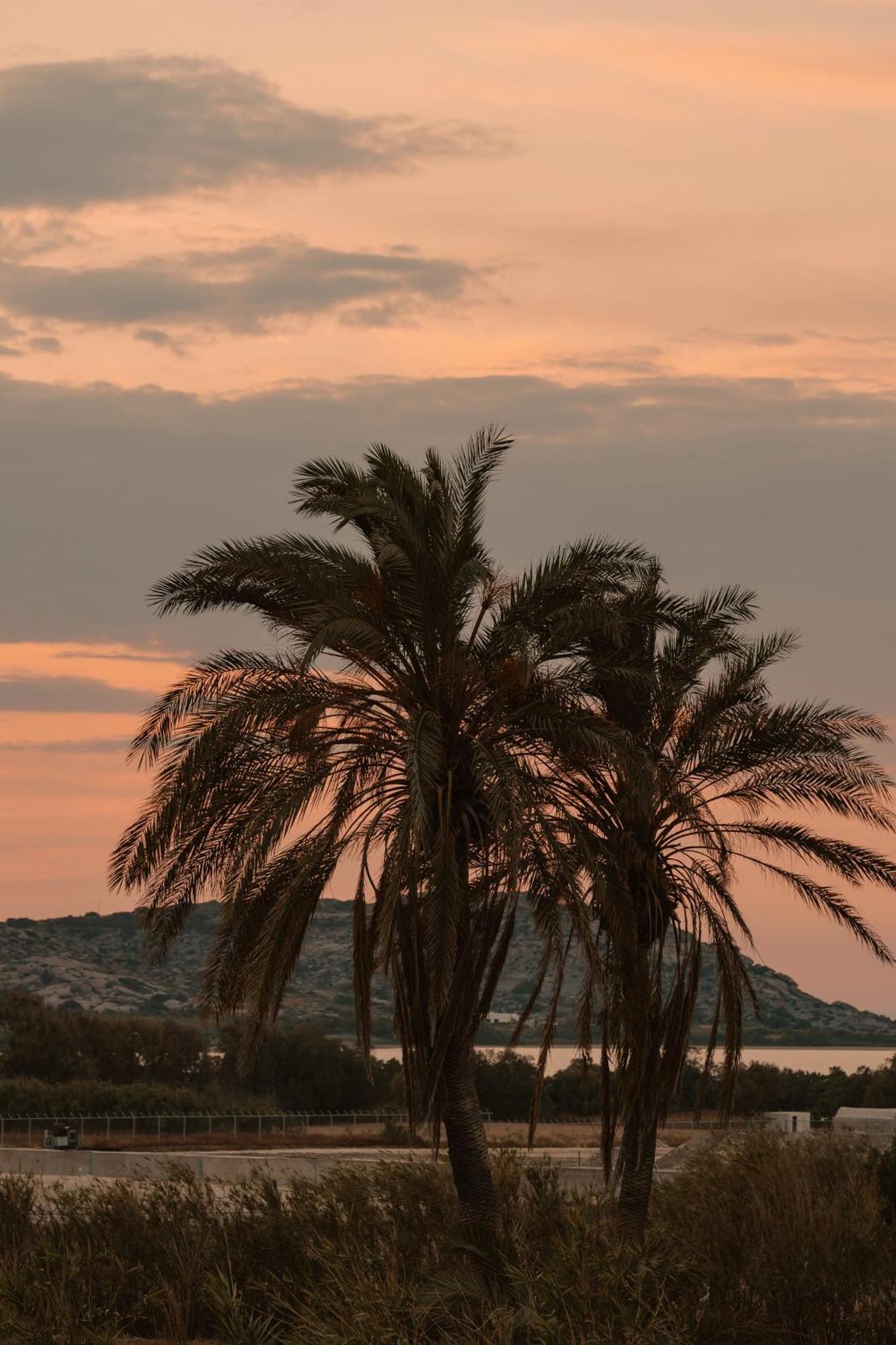Villa vaya Agia Anna  Esterno foto